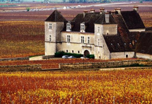 Seleccionados de las mejores bodegas